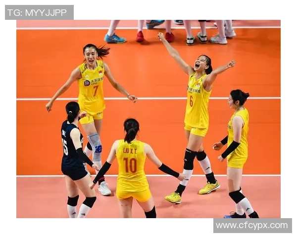 专业解读：南京排球队的反击打法